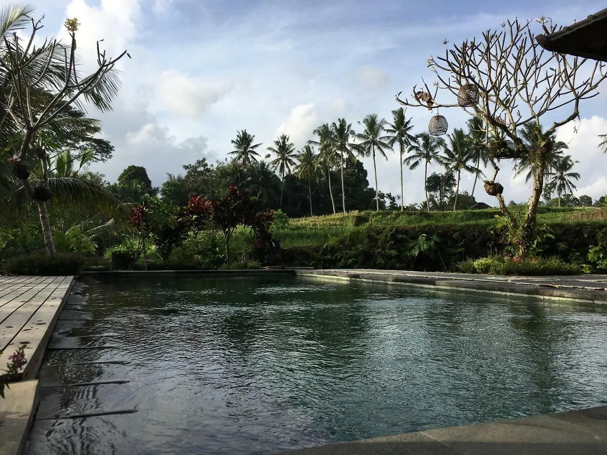 Puri Raya Villa Ubud  Indonesia