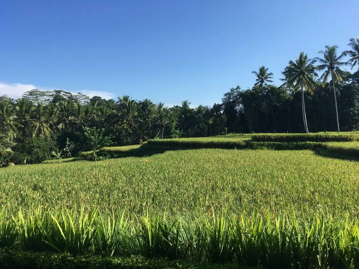 Puri Raya Villa Ubud