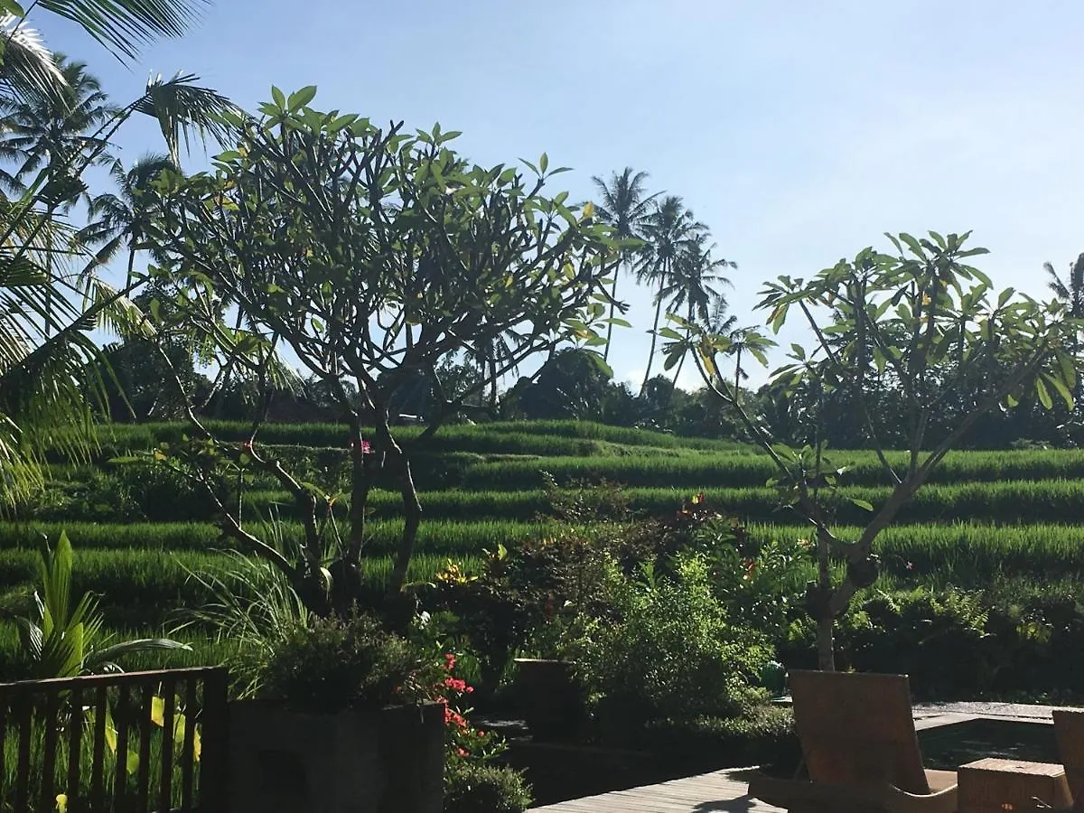 Puri Raya Villa Ubud