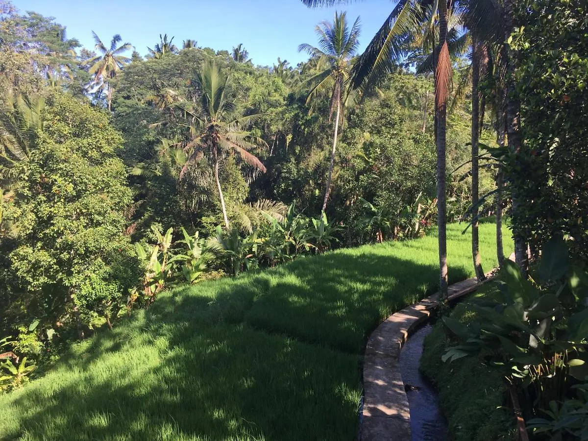 Puri Raya Villa Ubud  0*, Ubud (Bali) Indonesia