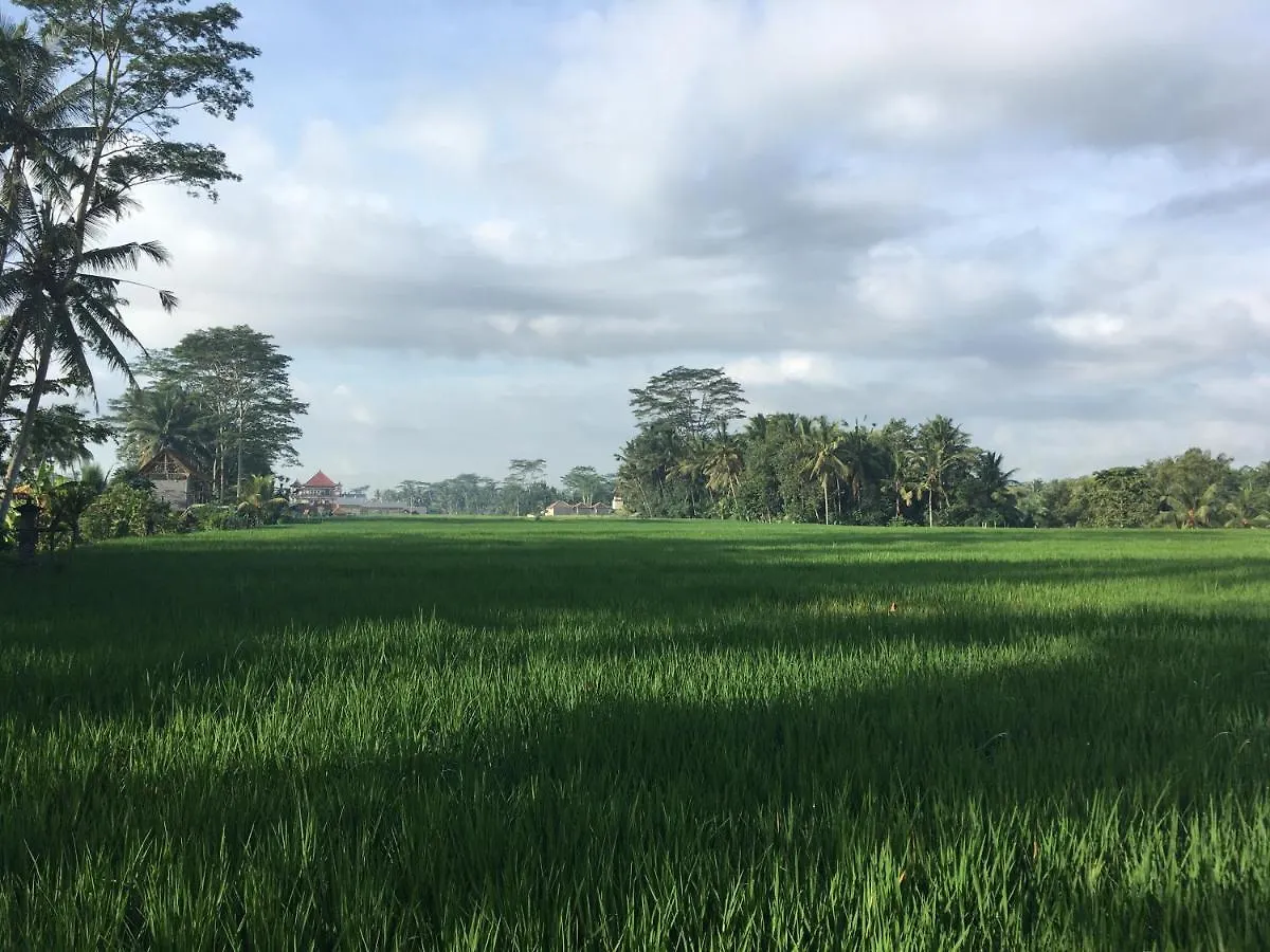 Puri Raya Villa Ubud  Indonesia
