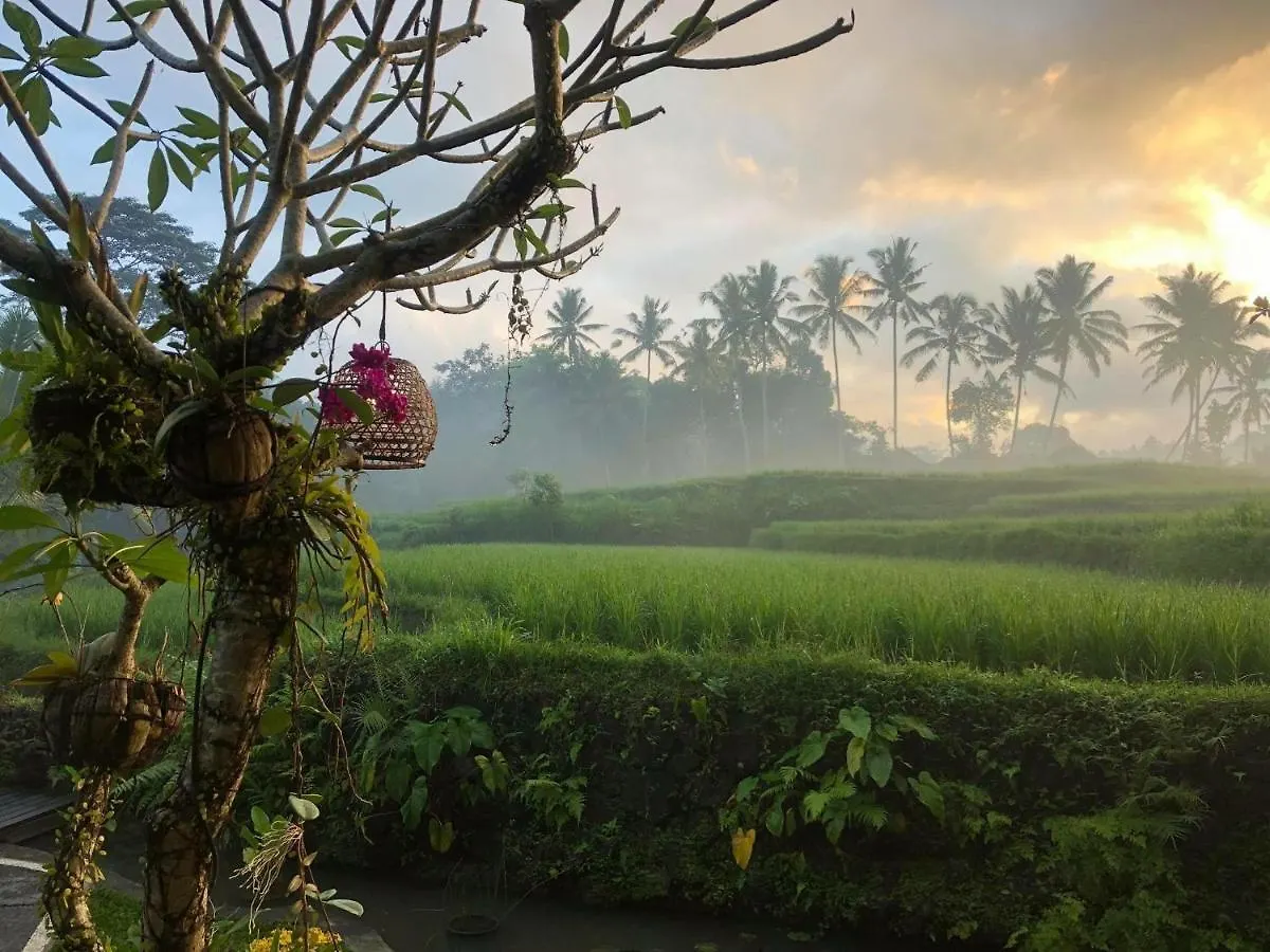 Puri Raya Villa Ubud  0*, Ubud (Bali)