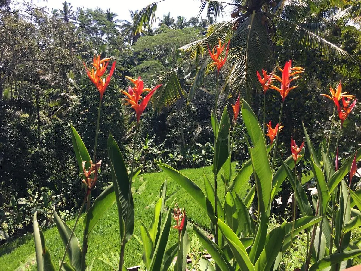 Puri Raya Villa Ubud