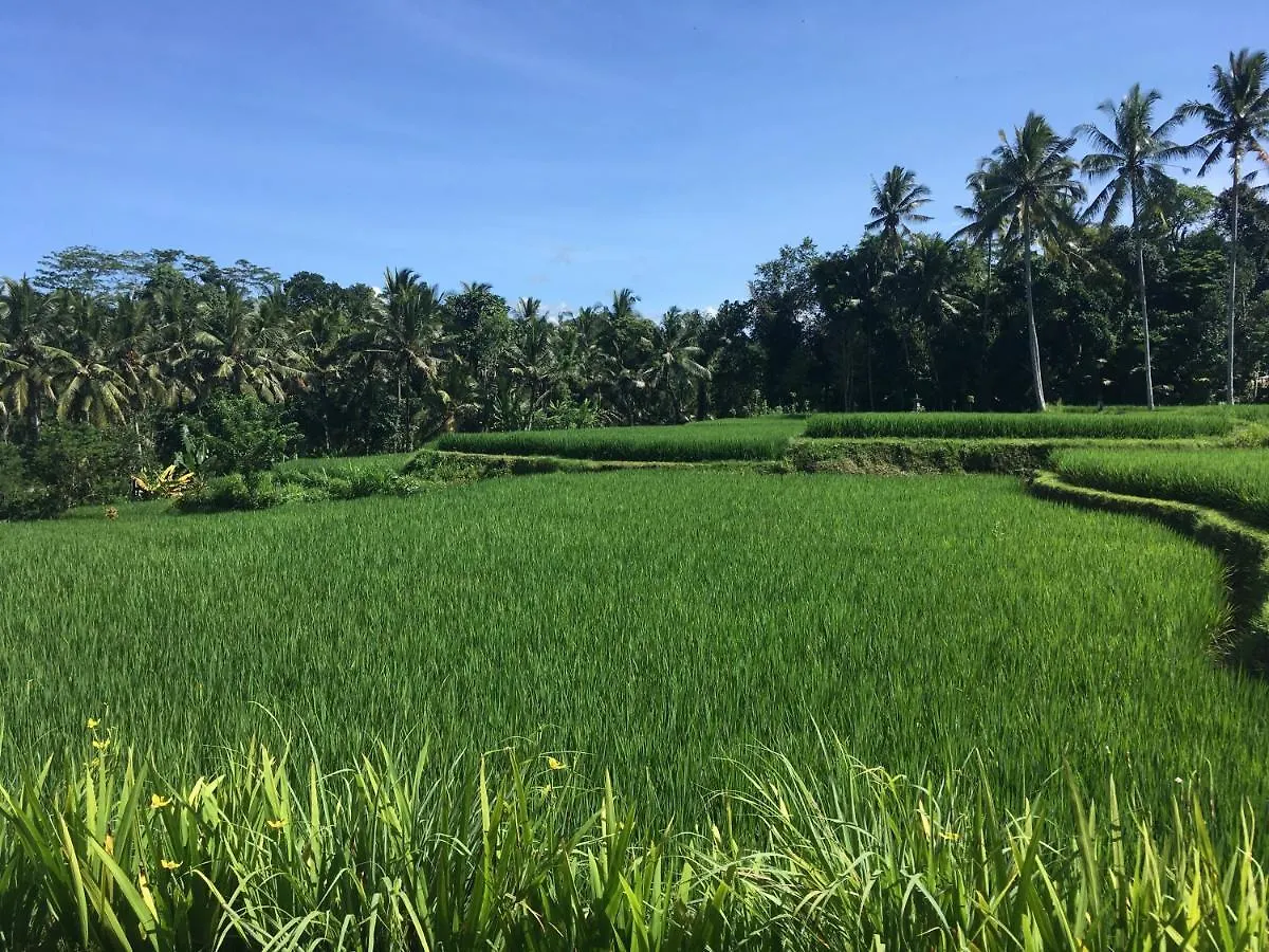 Puri Raya Villa Ubud  Ubud (Bali)